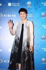 组图：电视华鼎奖红毯 郑爽仙气佟丽娅美艳