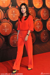 组图：赵薇红衣落落大方 马艳丽蓝裙气质典雅