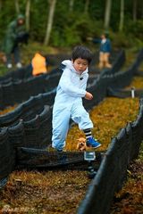 组图：爸爸开启丛林大冒险 金曲歌王曹格落泪