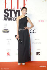 幻灯图：范冰冰粉唇魅惑风尚大典 李宇春裤装帅气