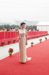 组图：田海蓉亮相金鸡 飘逸长裙从容主持