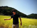 组图：张亮稻田留影紧身T恤秀肌肉 大长腿抢镜