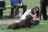 组图：安妮-海瑟薇席地而坐 与狗狗玩耍超有爱