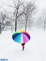 组图：大眼萝莉姐妹走红 写真妈妈掌镜精致如画