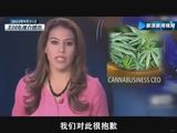 组图：女主播电视直播中谈及大麻后爆粗口辞职