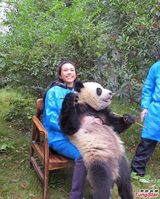 组图：莫文蔚穿婚礼旗袍配熊猫 尽显标致身材