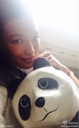 组图：千只纸熊猫空降香港 众星卖萌合影倡环保