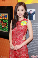 组图：傅颖出席世界杯活动 笑看整容指控