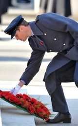 组图：威廉王子夫妇出席阵亡将士纪念日活动