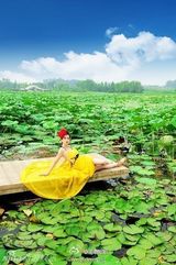 组图：芙蓉姐姐变美艳荷花仙 恨嫁心切想要男友