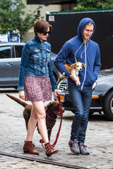 组图：海瑟薇牵爱犬漫步街头 老公抱小萌狗惹眼