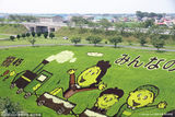 组图：日本农民种出稻田画 每年吸引20万游客