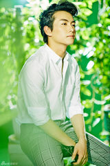 组图：陈晓【演员】白色衬衫阳光帅气 绿植环绕清爽一夏