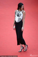 组图：戛纳红毯众星云集 巩俐章子怡领衔女神战