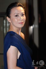 幻灯图集：李冰冰出席晚宴 深V礼服与刘嘉玲斗艳