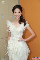 组图：陈凯琳领衔上届港姐亮相 羽毛装唯美吸睛