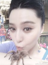 组图：范冰冰与蜘蛛零距离接触 表情搞怪多变