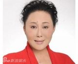 组图：舞台上变脸整容的女主角 梅婷陈数刘晓庆