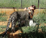 组图：女记者亲密接触动物 和狼接吻与豹同眠