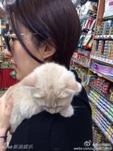 组图：喵星人征服女神！刘亦菲潮装抱猫萌萌哒