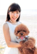 组图：AKB48穿泳衣与狗拍写真 身材热辣喷鼻血