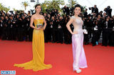 组图：霓裳轻舞东方美 戛纳红毯上的中国女星