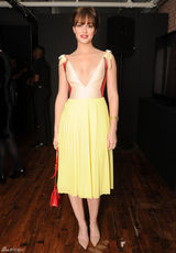 高清组图：莉顿-梅斯特性感V领礼服真空上阵