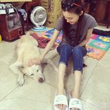 组图：范玮琪怀双胞胎 陈建州被封炫妻狂魔