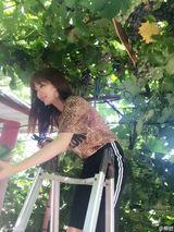 组图：柳岩清新淡妆爬梯摘葡萄 豹纹T恤小性感