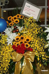 组图：方大同小巨蛋首开唱 薛凯琪助阵献唱