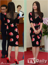 组图：河智苑任宣传大使 旗袍尽显优雅气质