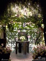 组图：周迅拥吻新婚丈夫高圣远 百花丛中亲密