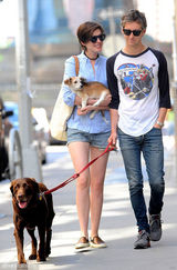 组图：海瑟薇与老公遛狗 短发显清新俏丽