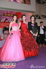 组图：苏永康钟嘉欣与民众跨年 岑丽香等盛装