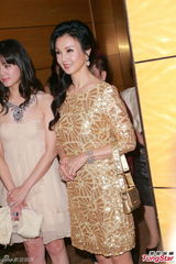 组图：陈婉珍林燕妮等亮相某珠宝晚宴