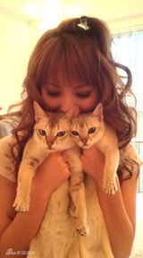 幻灯图集：日本人气美女佐佐木希生活照集锦