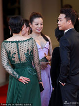 组图：威尼斯红毯赵薇艳粉如女王 郝蕾秀八字奶