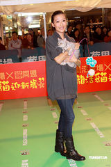 幻灯图集：谢婷婷优雅着装亮相 携爱猫参加活动