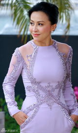 组图：《过界》戛纳见面会 刘嘉玲紫裙优雅