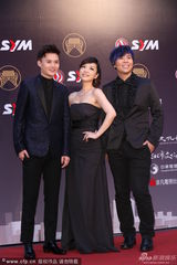 组图：秀兰玛雅金曲红毯秀香肩 型男护花