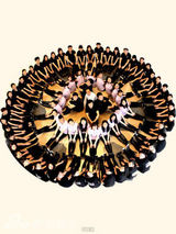 组图：寻找最美歌声 倾听世界绚烂