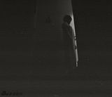 组图：弗兰科再发大招 反串穿胸罩节操碎成渣