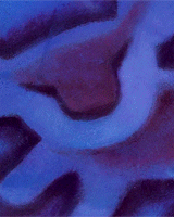 组图：《狮子王》上映20周年 回顾那些经典瞬间