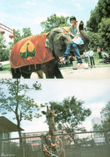 组图：日本女星宫崎葵曾赴云南拍摄唯美写真