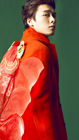 手机壁纸：百变李易峰