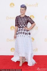 组图：凯莉-奥本森紫发个性十足亮相艾美红毯