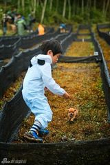 组图：爸爸开启丛林大冒险 金曲歌王曹格落泪