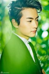 组图：陈晓【演员】帅气写真 背景清新造型复古