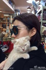 组图：喵星人征服女神！刘亦菲潮装抱猫萌萌哒