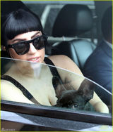 组图：LadyGaga抱狗晒事业线 手臂内侧添新纹身